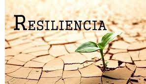 resiliencia